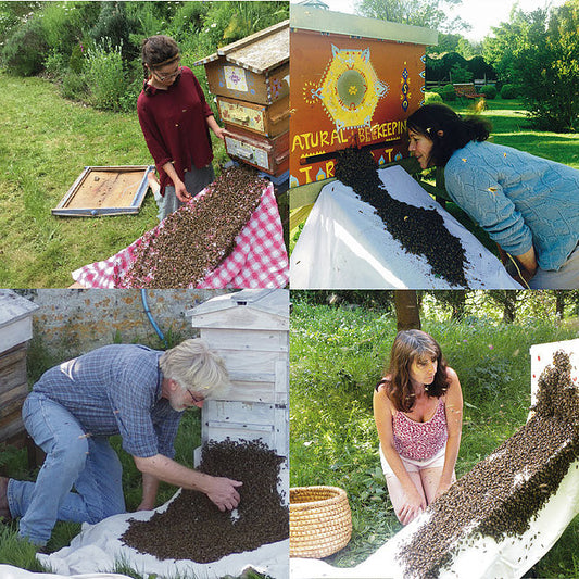 Hardening of the Heart - the task of the modern beekeeper