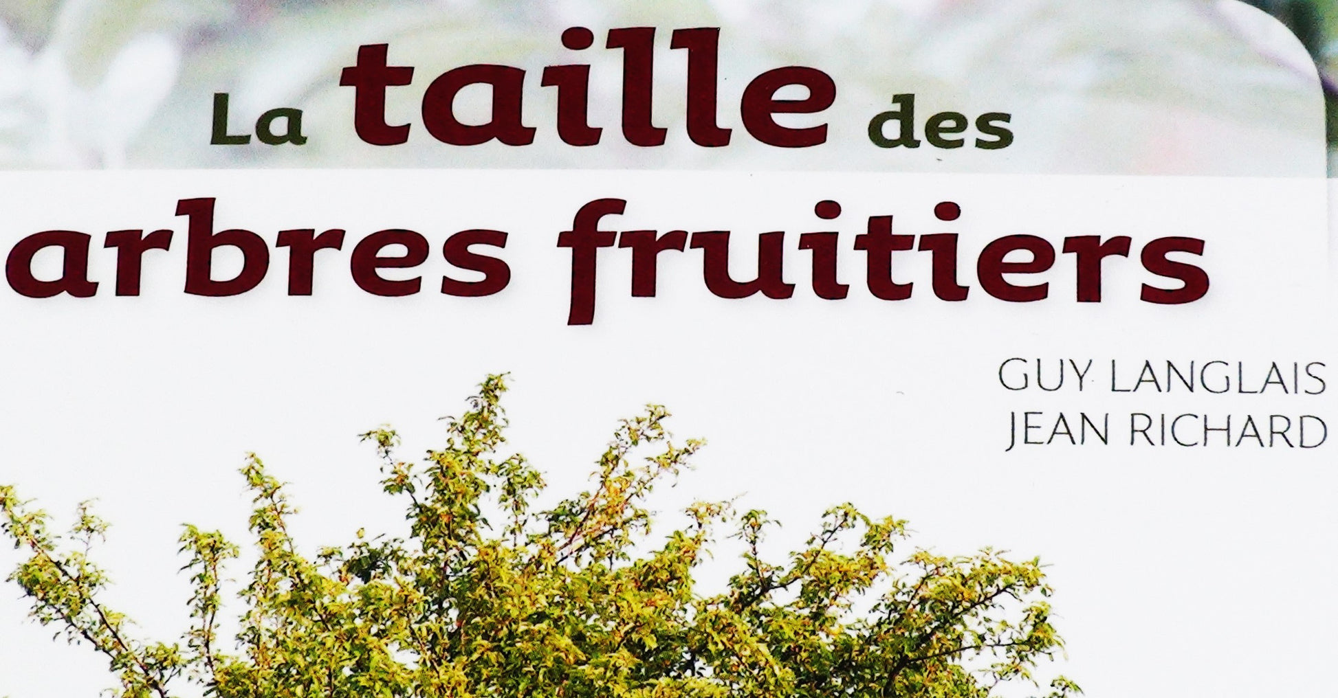 La Taille des Arbres Fruitiers - Copyrights RebelBees 2016